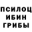 Галлюциногенные грибы Magic Shrooms Natka Zap