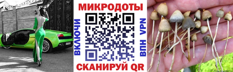 Псилоцибиновые грибы MAGIC MUSHROOMS  Купить где  Никольск 