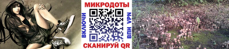 Псилоцибиновые грибы GOLDEN TEACHER Никольск