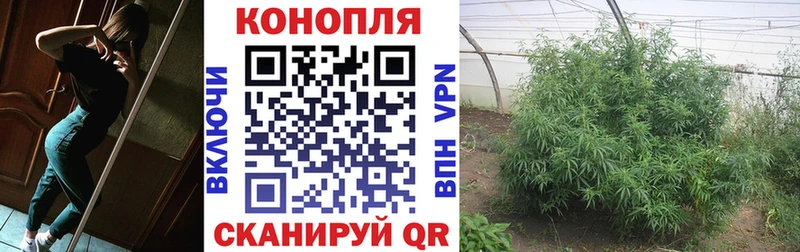 Купить где  Никольск  Бошки Шишки Ganja 